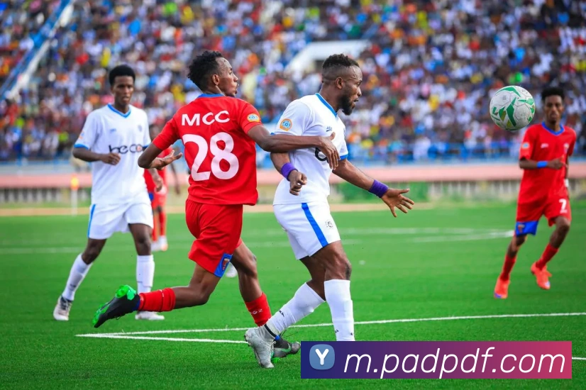 巅峰国际服务体系